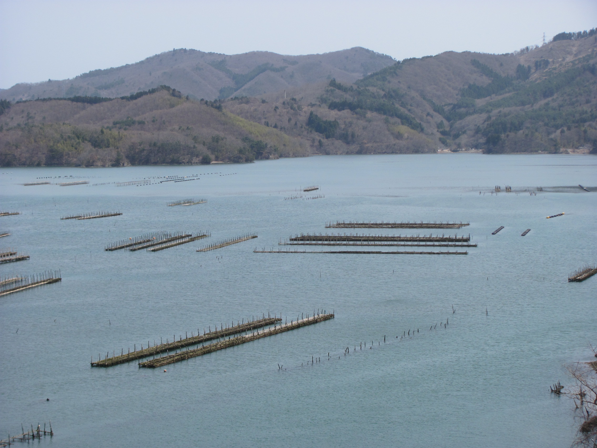 万石浦