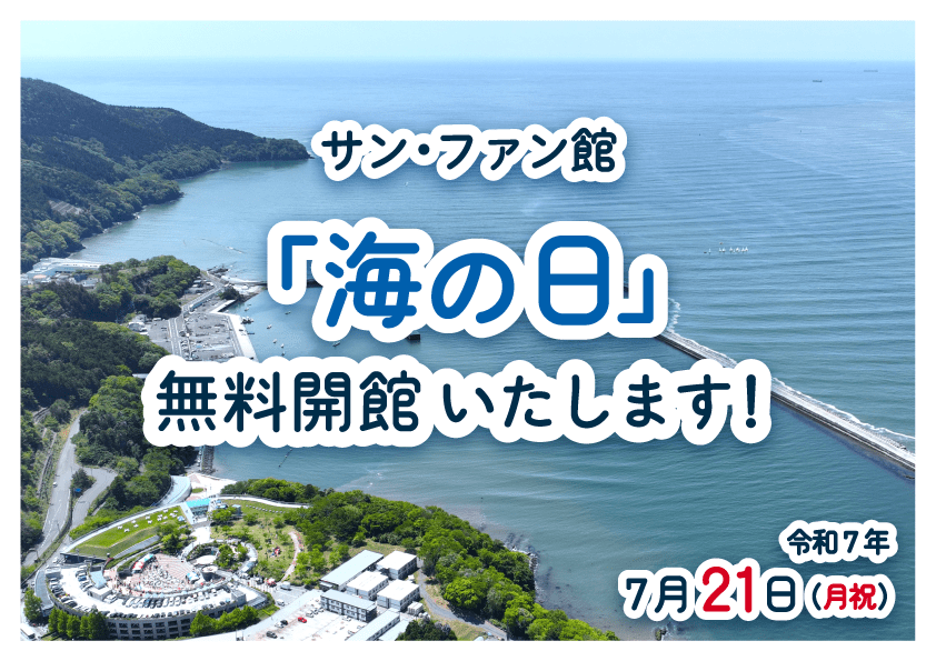 40371サン・ファン館で過ごす夏休みlocal_info